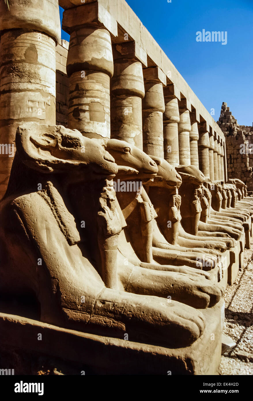 Karnak Temple Ruins Film Scan High Resolution Stock Photography and ...