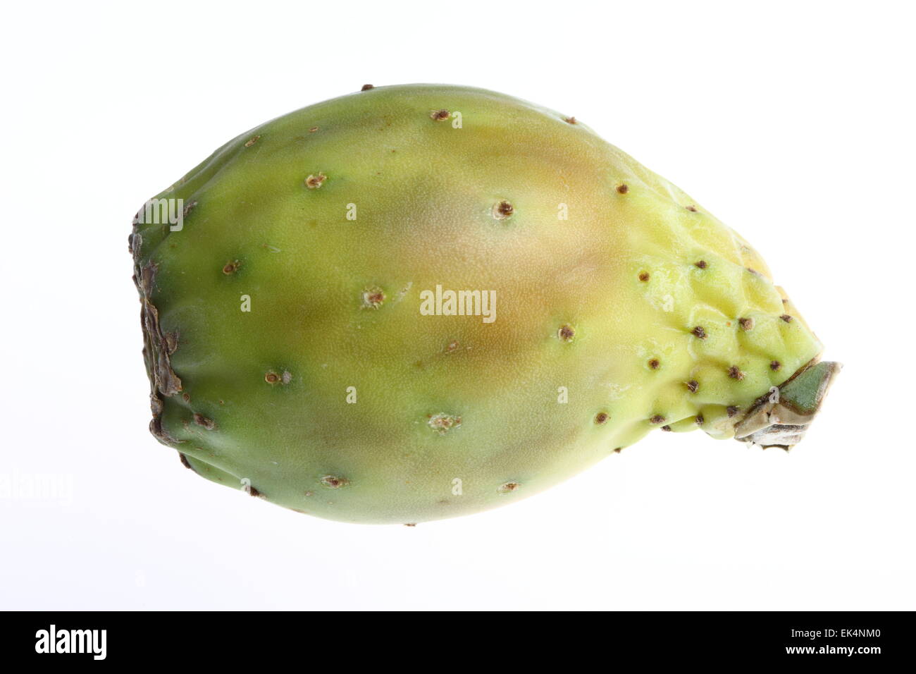 Tropical fruits, Prickly pear, Opuntia ficus-indica, Stock Photo