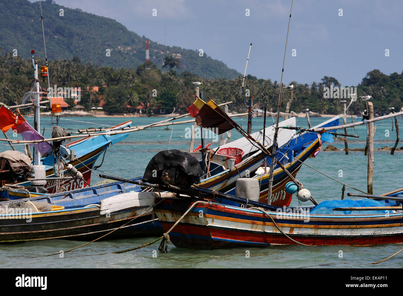 Samui Local Fish Thailand, Koh Samui (Samui Island), local fishing boats Stock Photo - Alamy