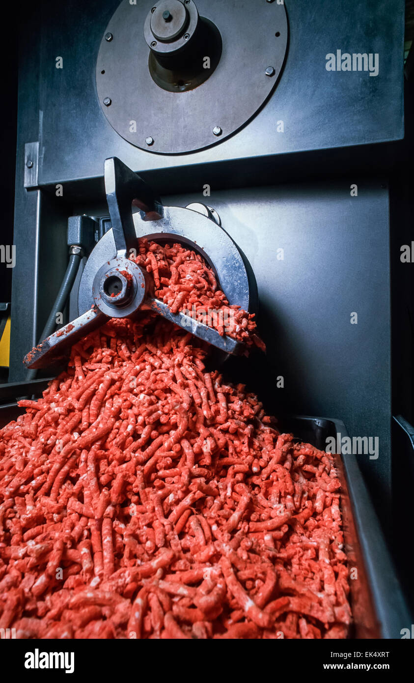 Italy, ground beef machine Food (FILM SCAN Stock Photo Alamy