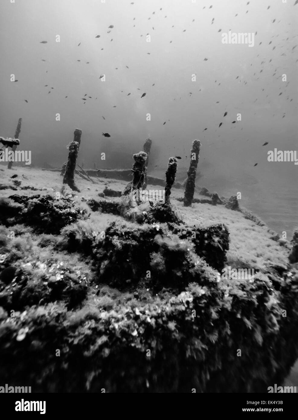 Italy, Ponza Island, Tyrrhenian sea, U.W. photo, wreck diving, sunken