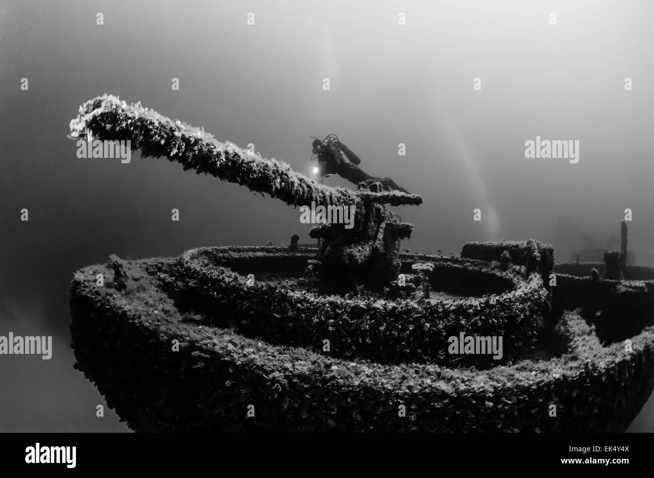 Italy, Ponza Island, U.W. photo, wreck diving, cannon tower of a sunken