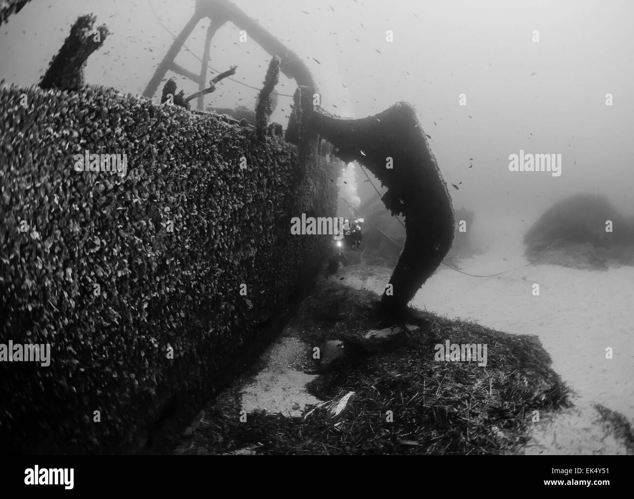 Italy, Ponza Island, U.W. photo, wreck diving, sunken ship (FILM SCAN