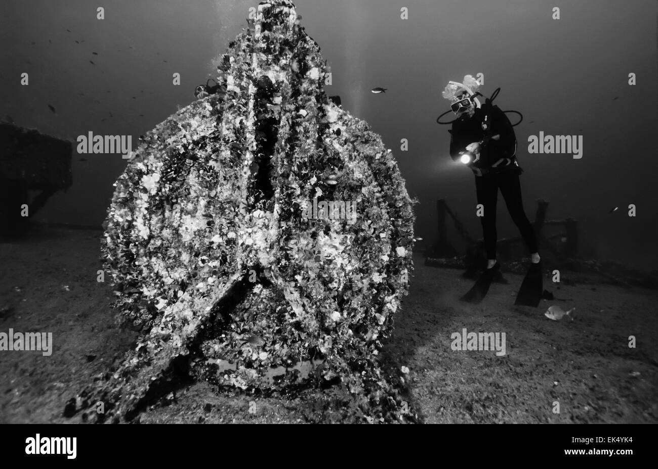 Italy, Ponza Island, Tyrrhenian sea, U.W. photo, wreck diving, sunken