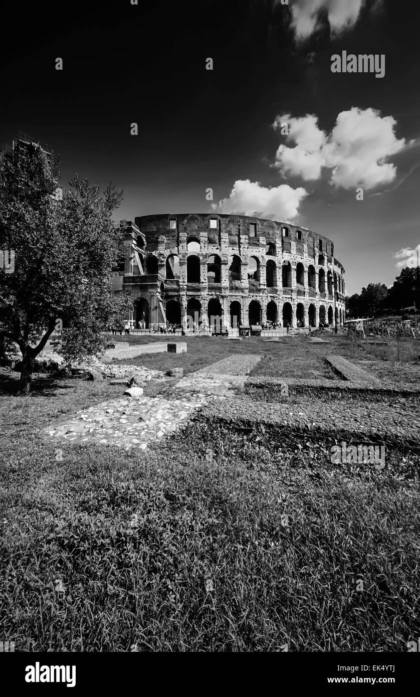 Flavian amphitheatre in rome Black and White Stock Photos & Images - Alamy
