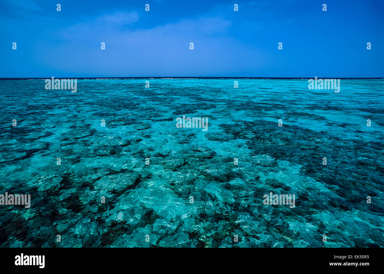 SUDAN, Red Sea, Sanghaneb Reef, view of the huge coral reef Stock Photo