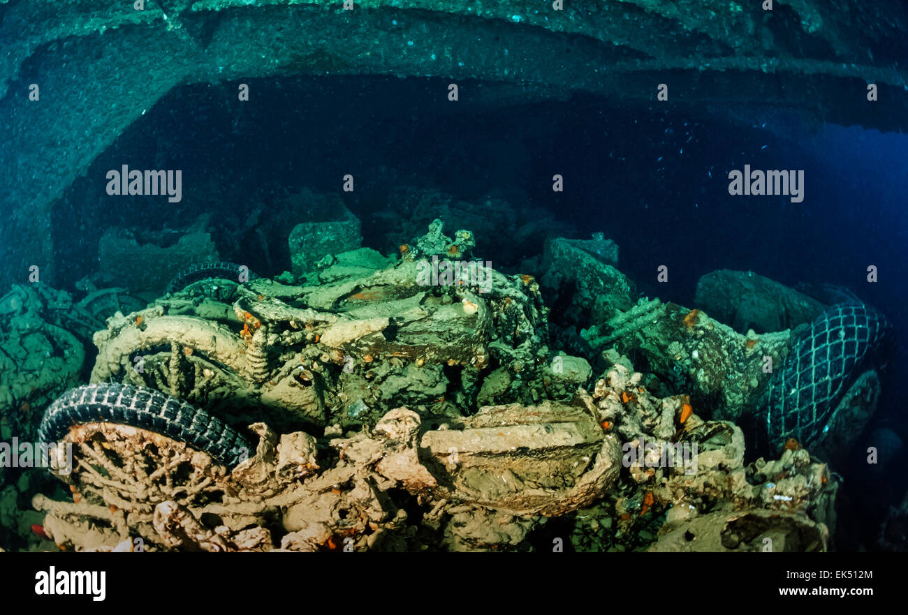 SUDAN, Red Sea, U.W. photo, Umbria wreck, old motorcycles in the hold ...