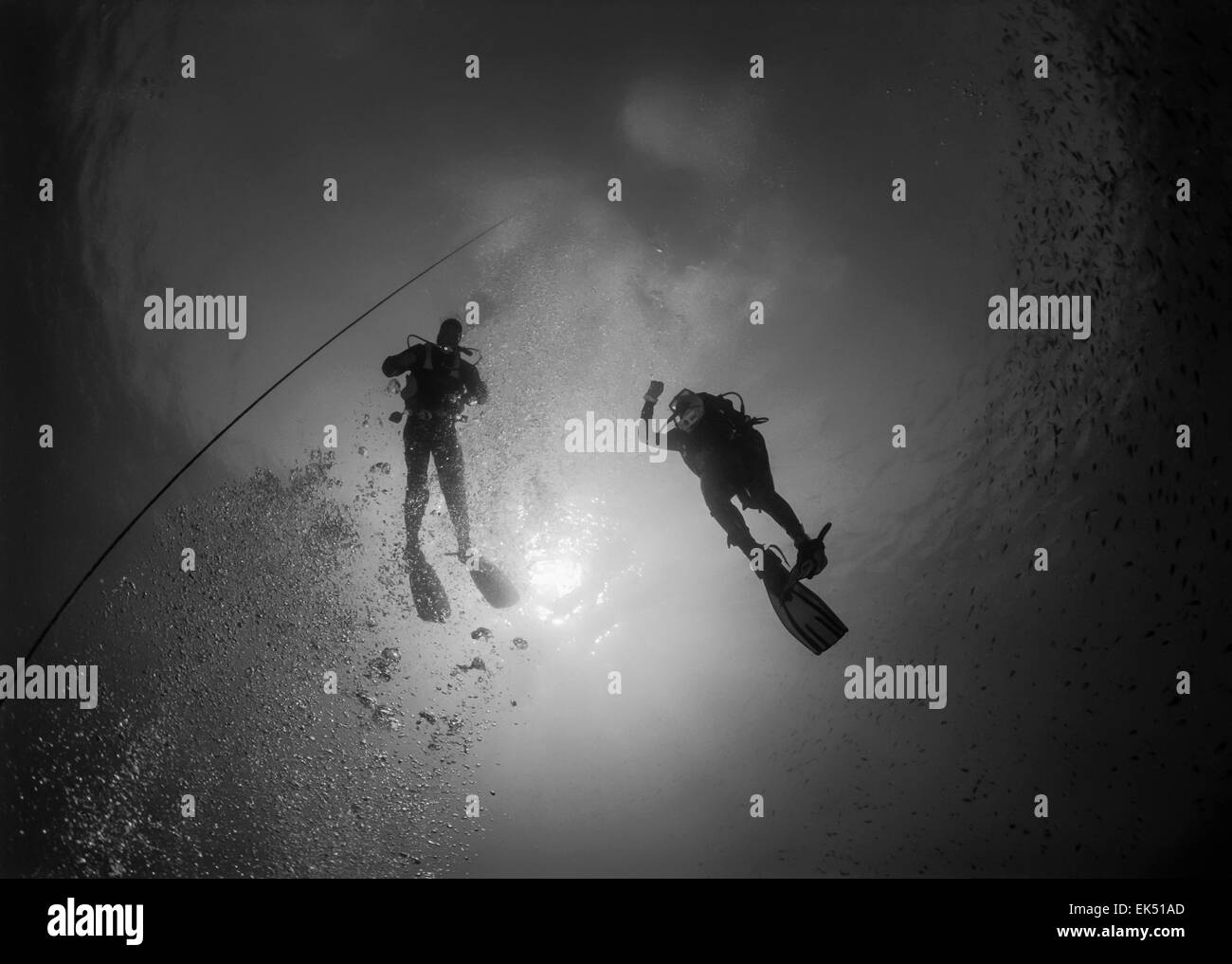 Mediterranean sea scuba divers bubbles hires stock photography and