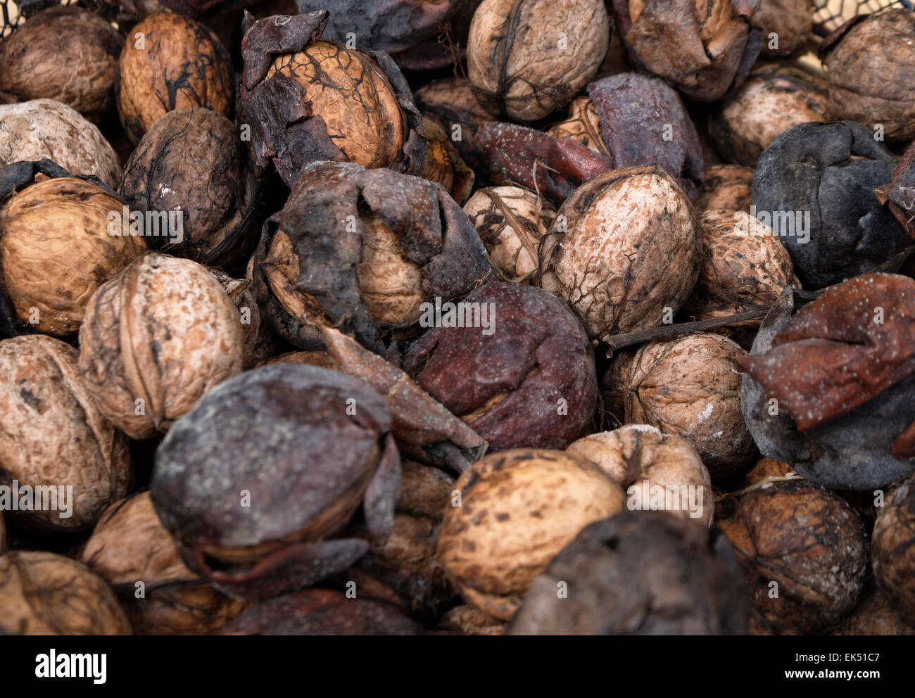 Italy, Sicily, fresh nuts Stock Photo Alamy