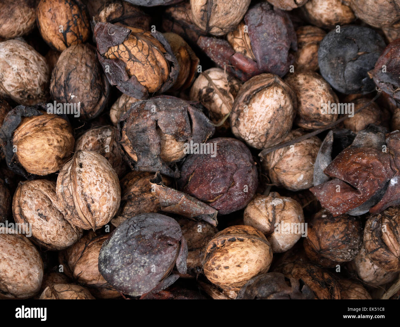 Italy, Sicily, fresh nuts Stock Photo Alamy