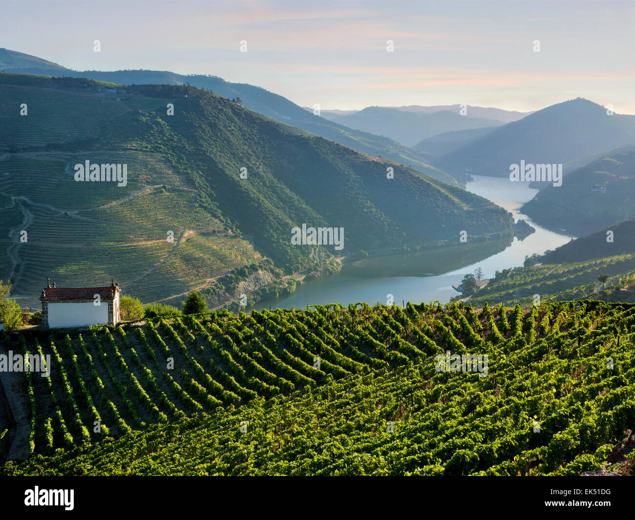 a small chapel and vinecovered terraces between Régua and Pinhao, the