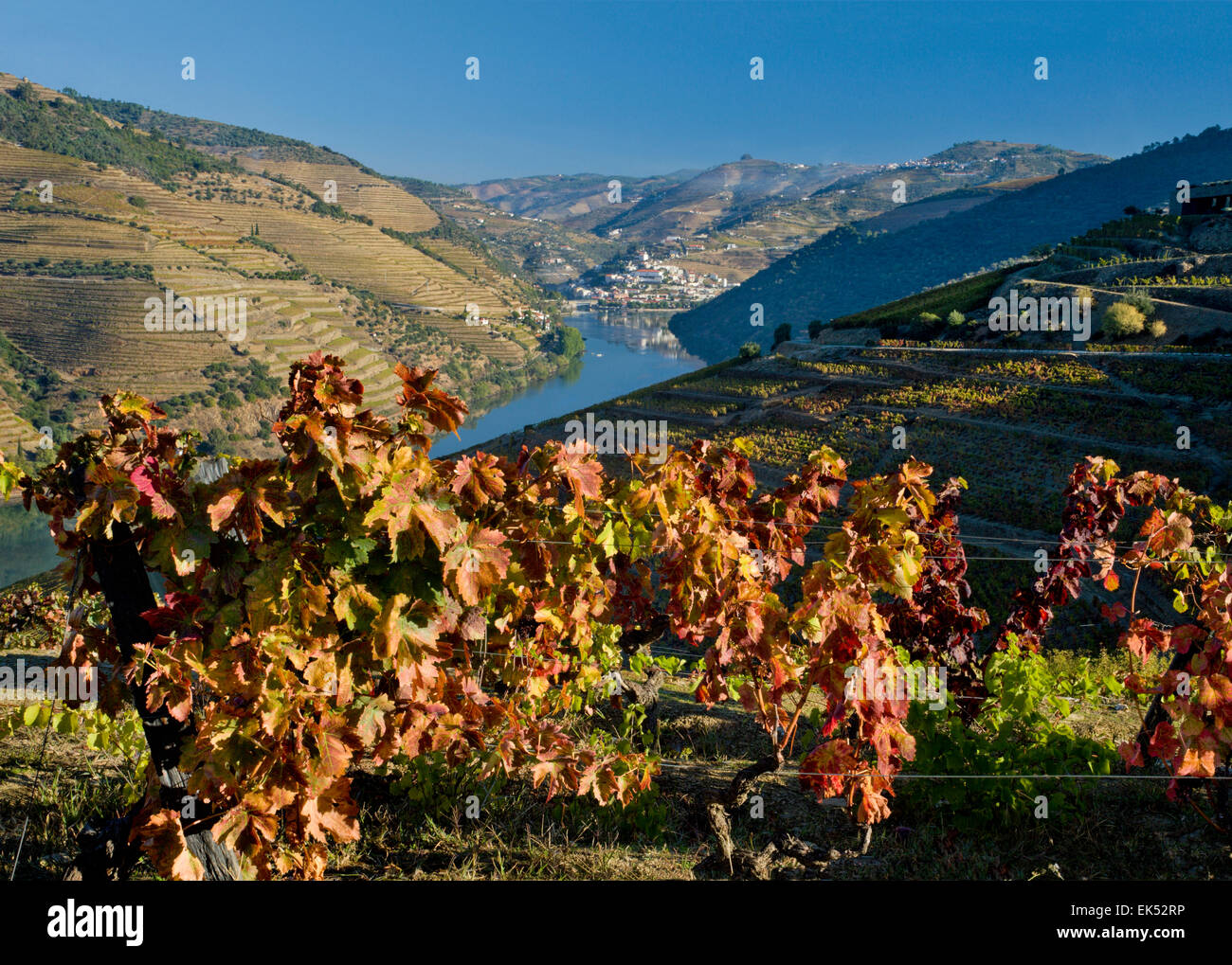 Portugal, the Alto Douro, the Douro Valley, with Pinhao in the distance