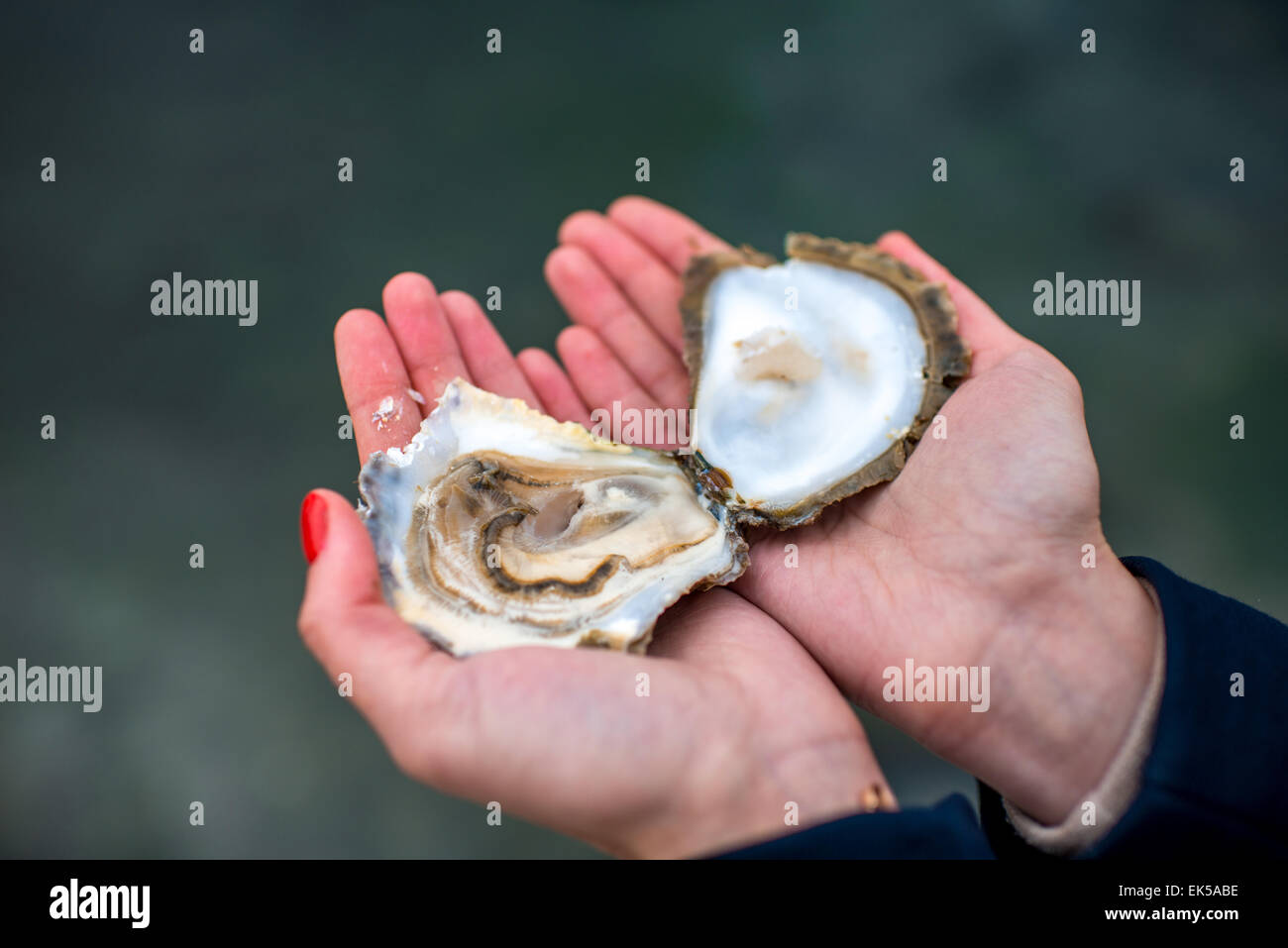 Oyster and woman hires stock photography and images Alamy
