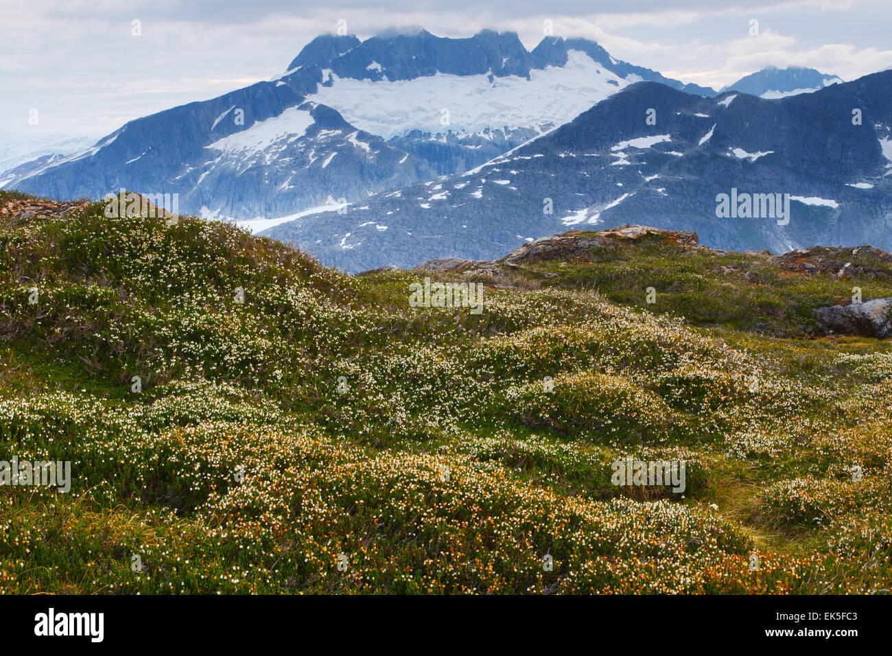 From Mount Stroller White above the Mendenhall Glacier, Tongass National Forest, Alaska Stock Photo