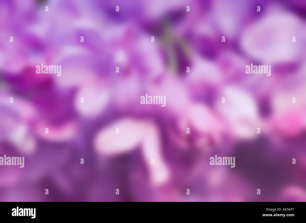 Abstract floral background Stock Photo - Alamy