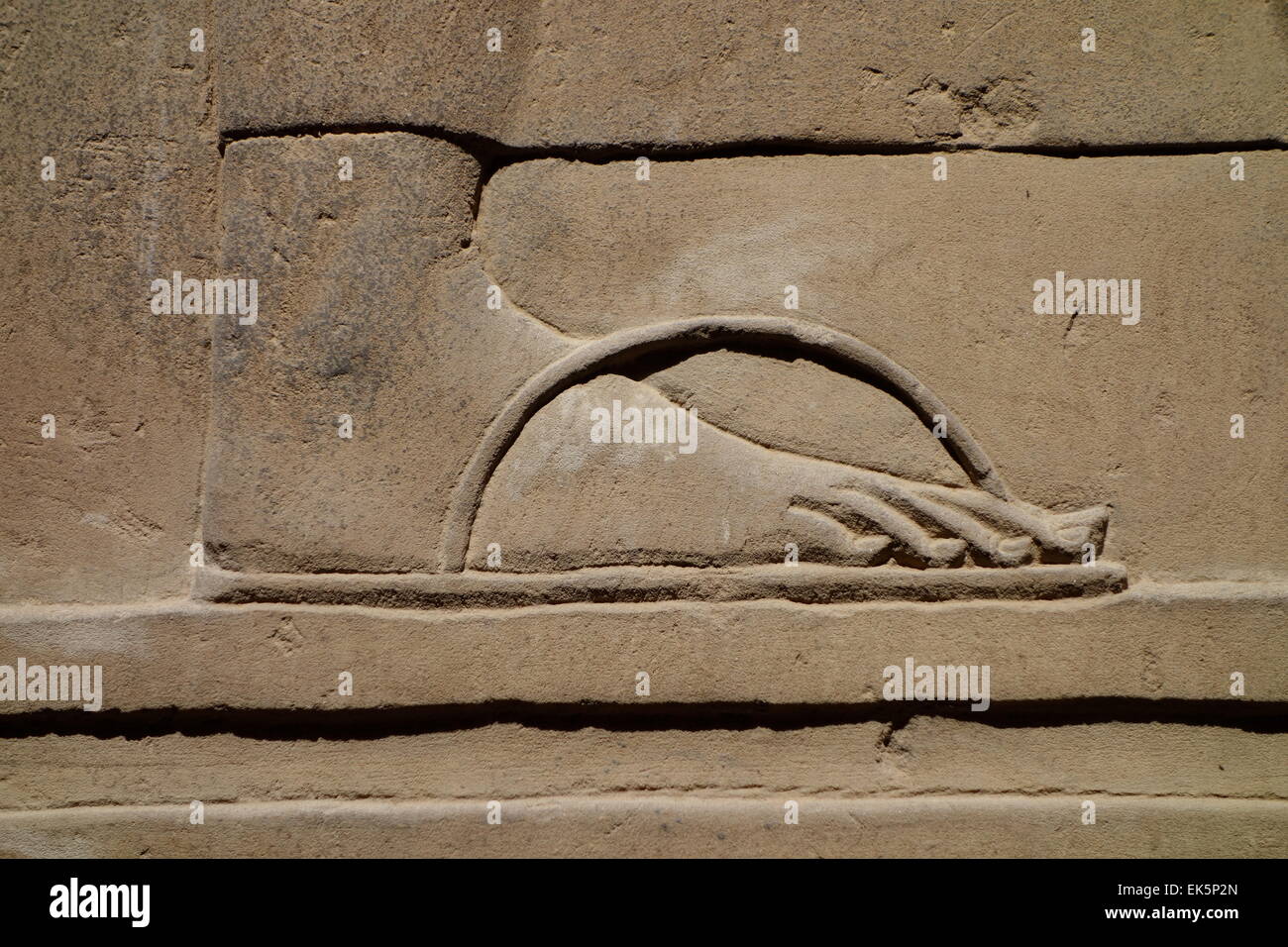 Egypt egyptian foot temple Ptolomeic Nile valley bas relief Stock Photo