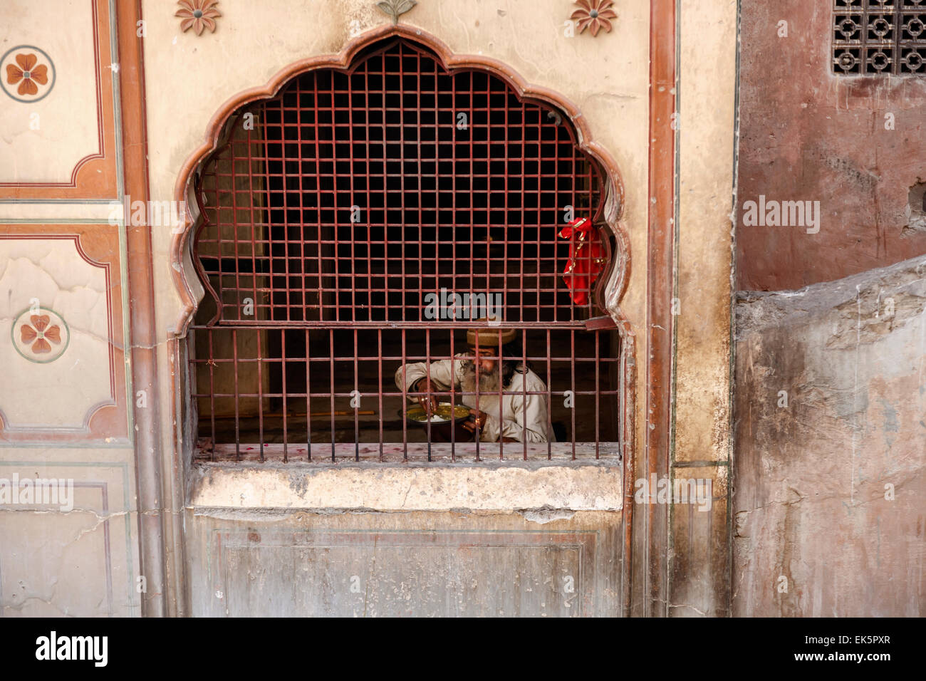 India, Rajasthan, Jaipur, Galtaji Temple, old indian man eating rice ...