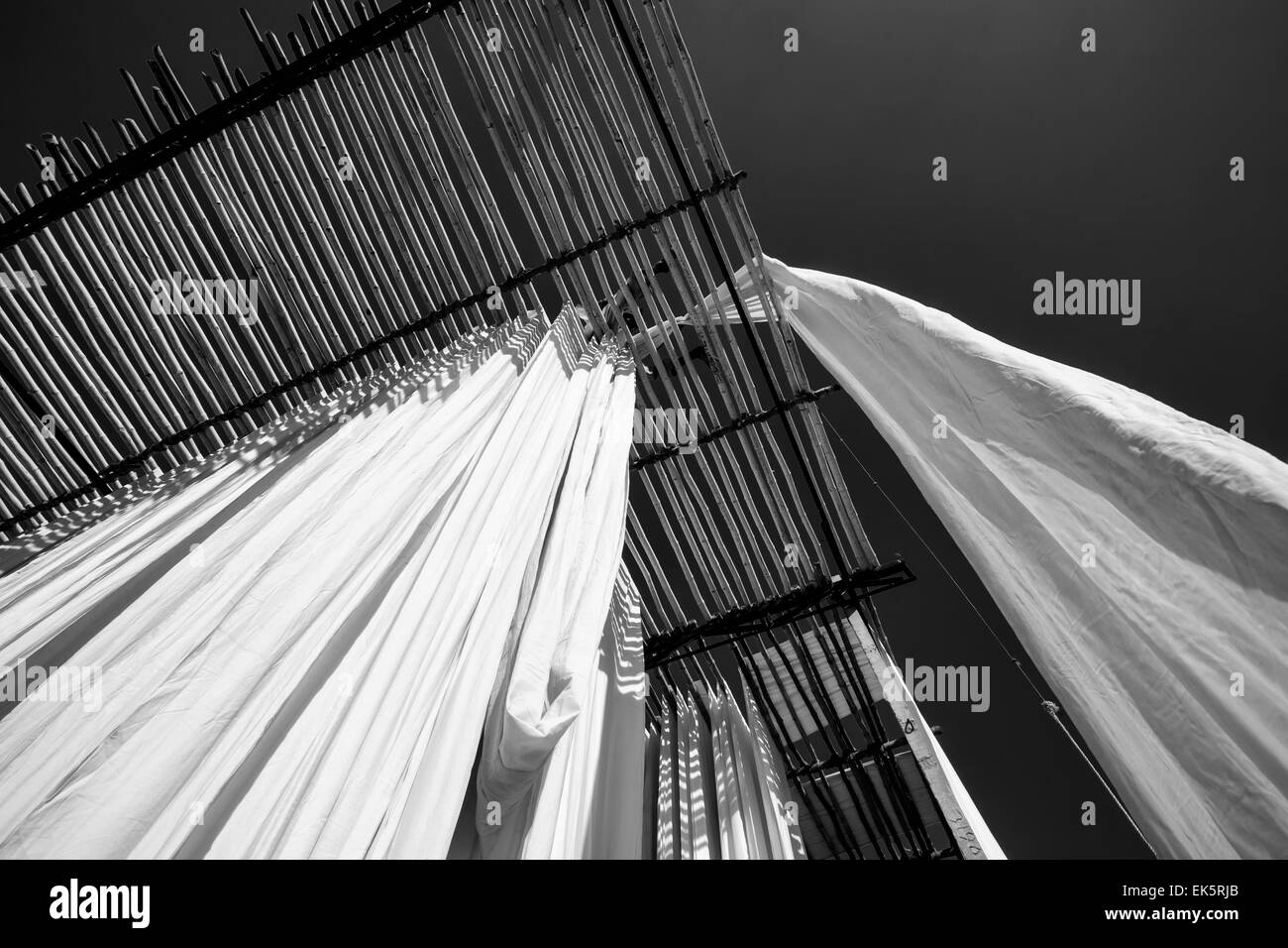 India, Rajasthan, Jaipur, indian man hanging cotton clothes to dry under the sun Stock Photo