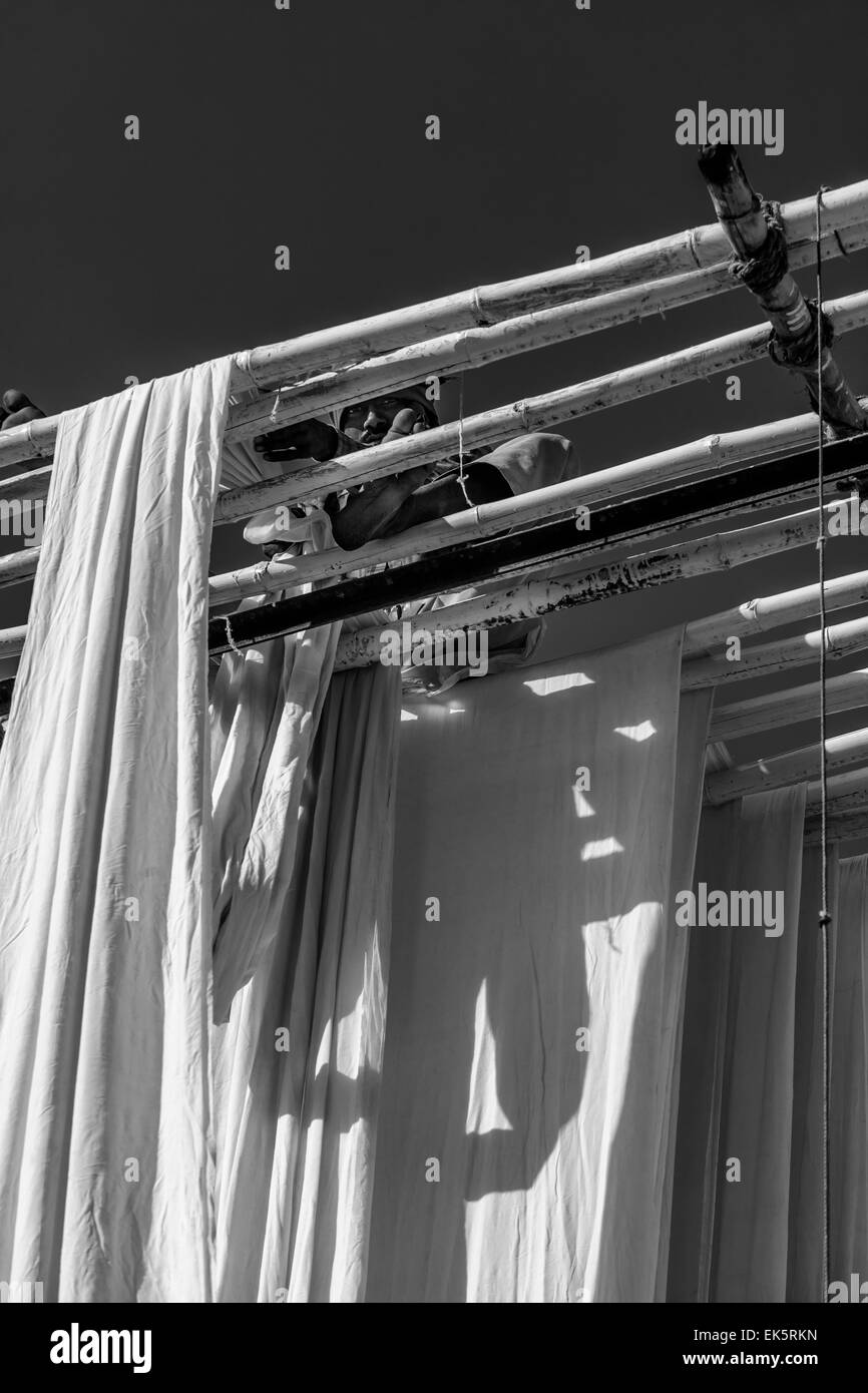 India, Rajasthan, Jaipur, indian man hanging cotton clothes to dry under the sun Stock Photo