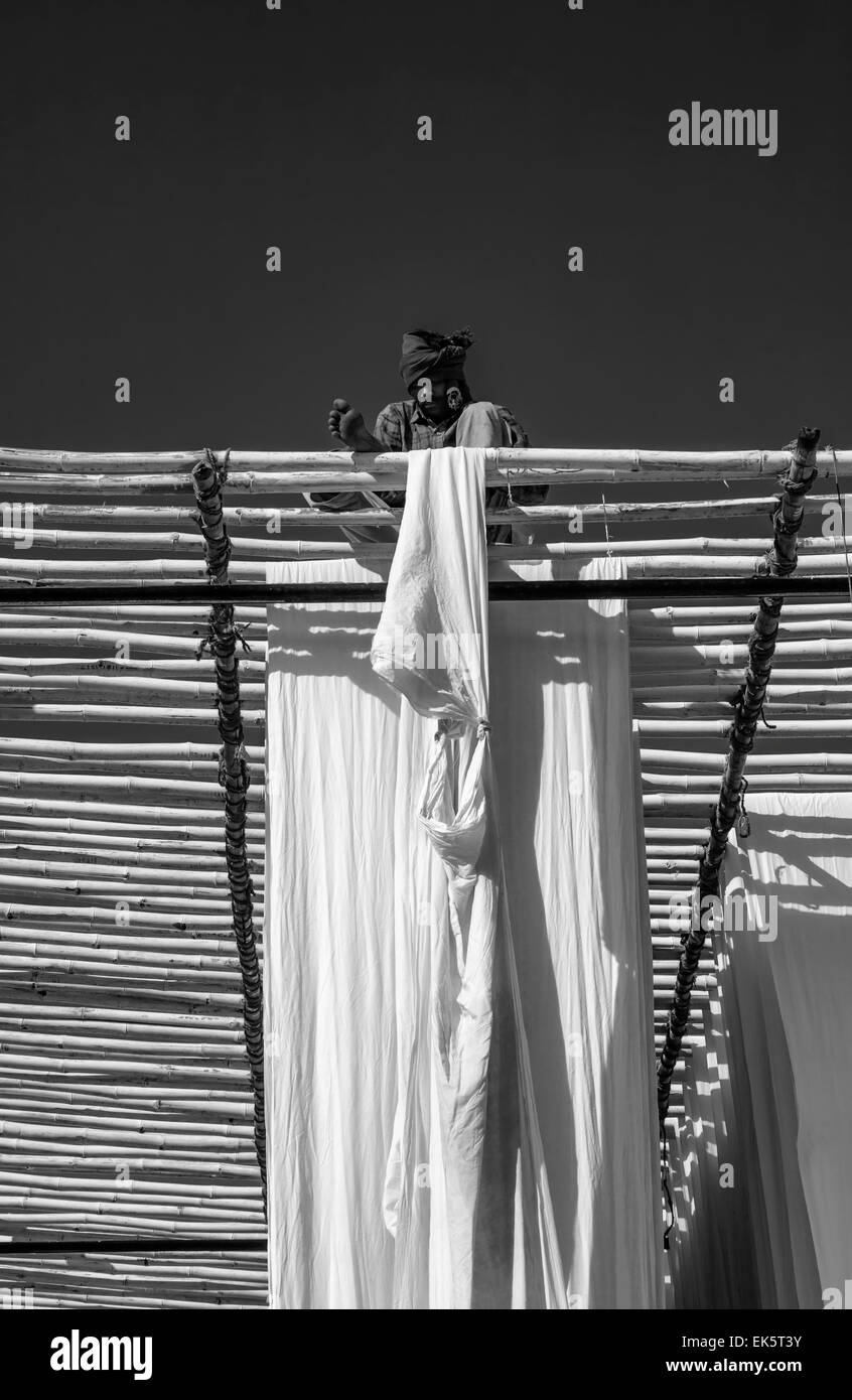 India, Rajasthan, Jaipur, indian man hanging cotton clothes to dry under the sun Stock Photo