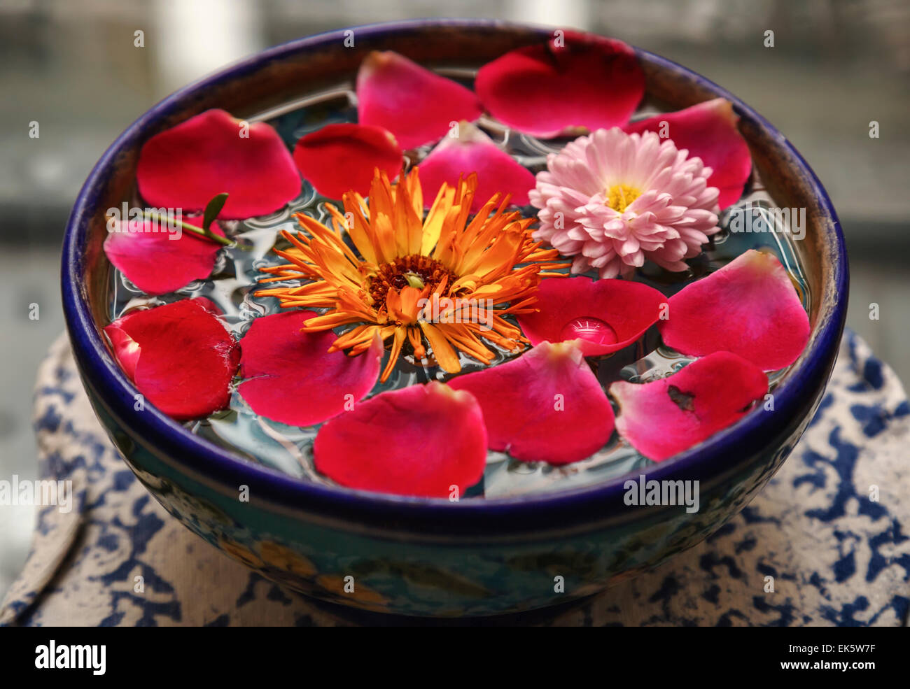 India, Rajasthan, Jaipur, flowers and rose petals in a bowl full of