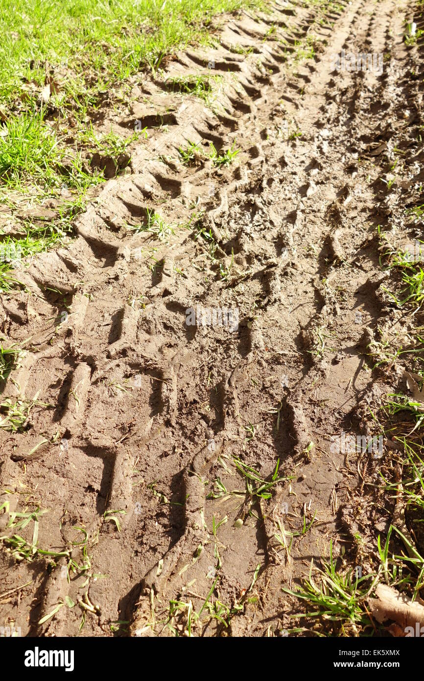 Muddy Wheel Track Stock Photo