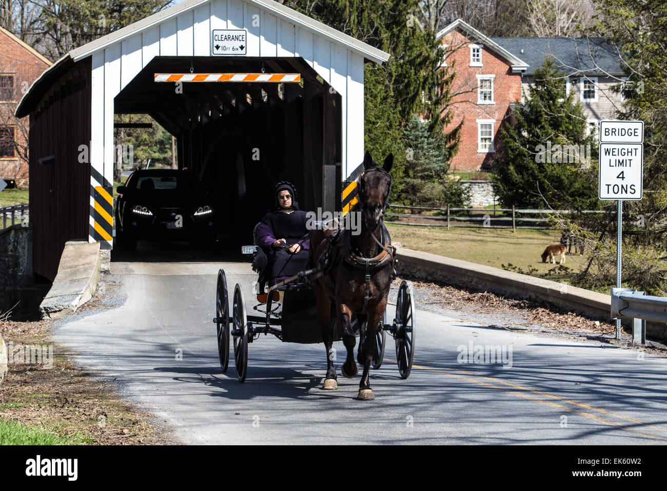 An Amish woman exits the Lime Valley Covered Bridge with her horse-drawn buggy in Lancaster County, Pennsylvania. Stock Photo