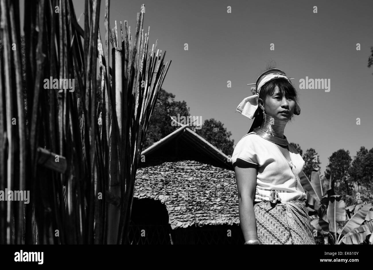 Thailand Chiang Mai Karen Long Neck Hill Tribe Village Baan Tong Lhoung Long Neck Woman In 3830