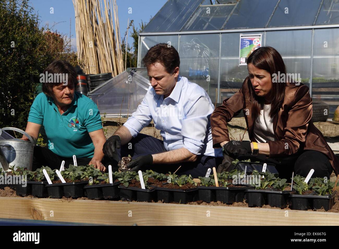 Newtown, UK. 7th April, 2015. Deputy Prime Minister & Leader of the Lib Dems, Nick Clegg, plants Broad Bean & Tomatoes with Ponthafren volunteer Janet Rogers & Lib Dem candidate Jane Dodds during his visit to Newtown in the Montgomeryshire Constituency as a part of his campaign for votes in the forthcoming General Election, UK. Credit:  Jon Freeman/Alamy Live News Stock Photo
