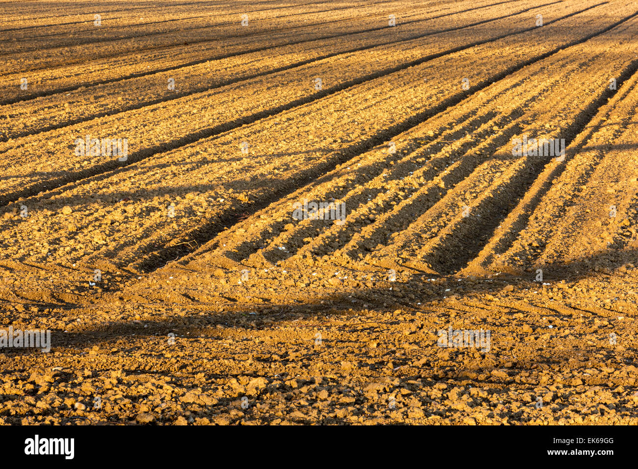 early spring field furrows field sowing Natureart new beginning brown earth bavaria europe Germany farmers Farm Agriculture patt Stock Photo
