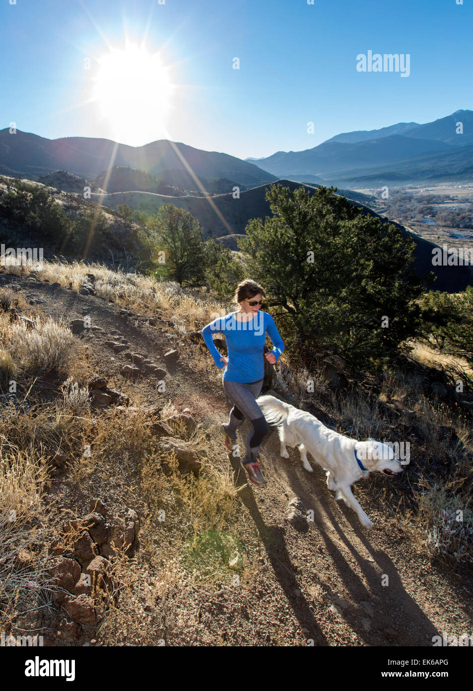 Woman & dogs running on mountain trails near Salida, Colorado, USA Stock Photo