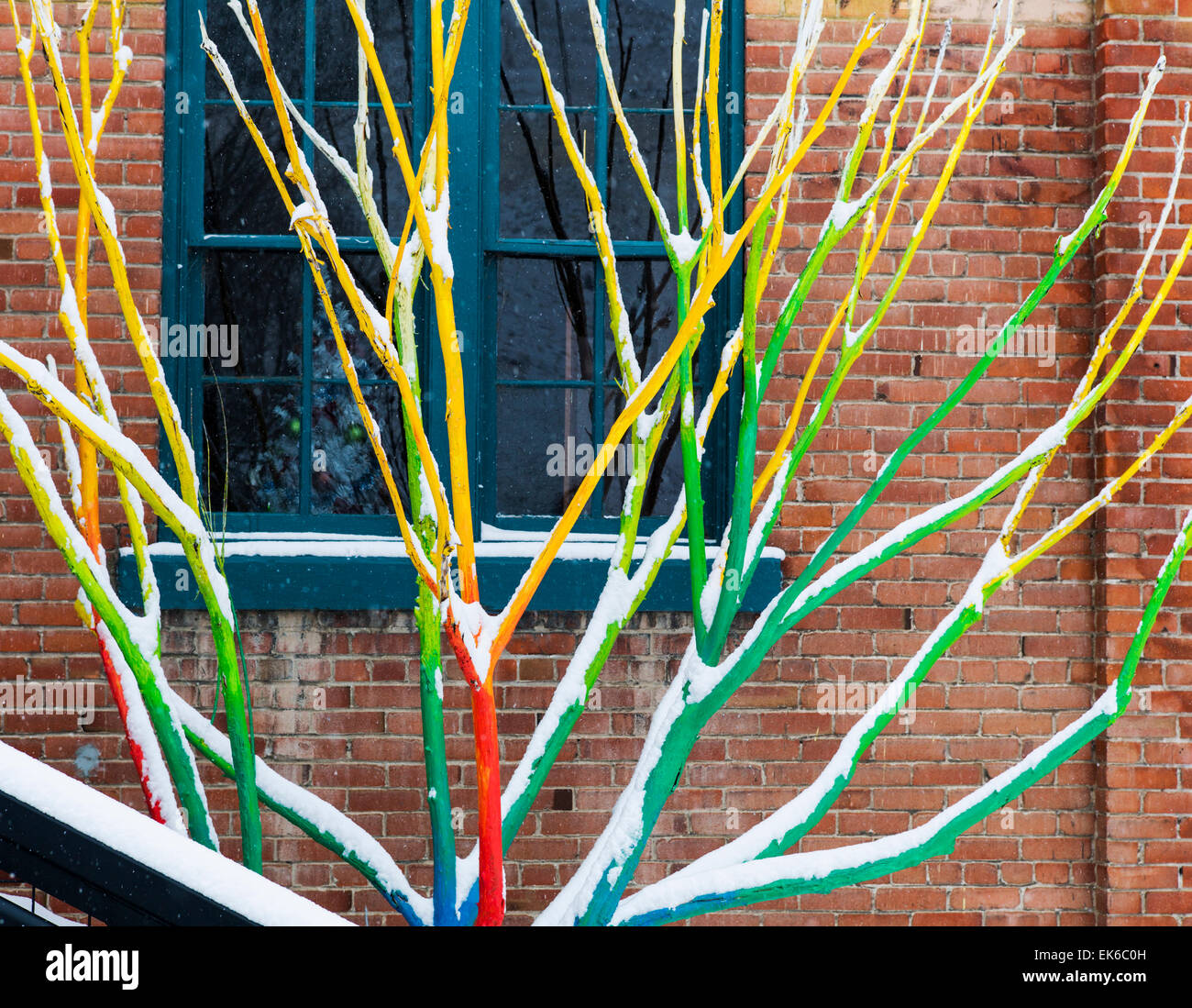 Artist Curtis Killorn hand paints tree, Steamplant Theater & Event Center, Salida, Colorado, USA Stock Photo