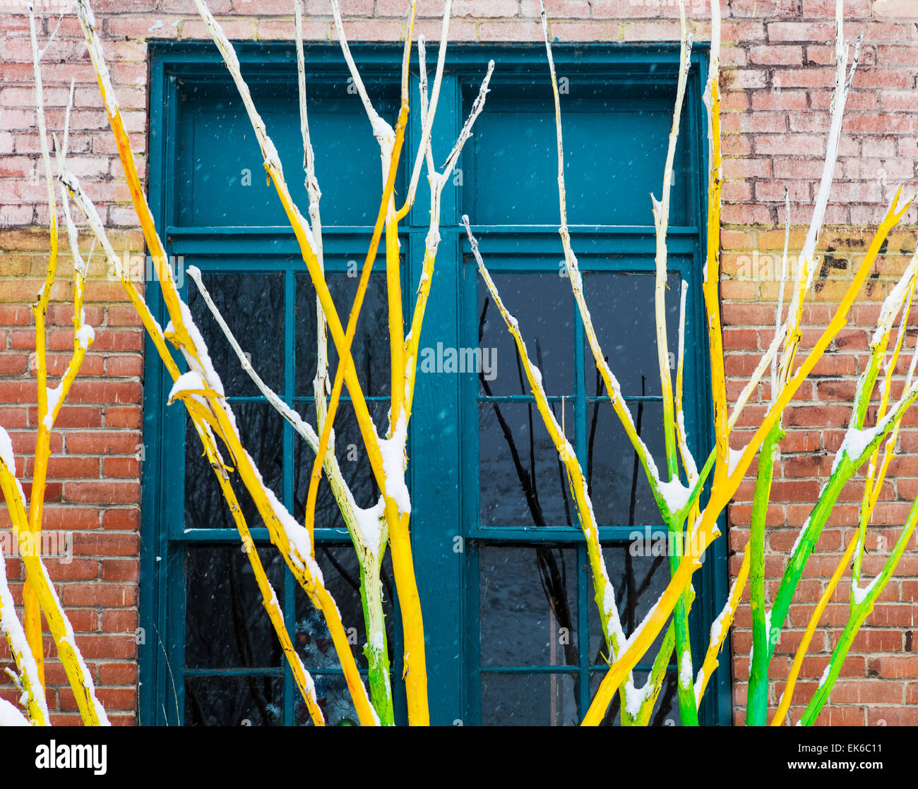 Artist Curtis Killorn hand paints tree, Steamplant Theater & Event Center, Salida, Colorado, USA Stock Photo