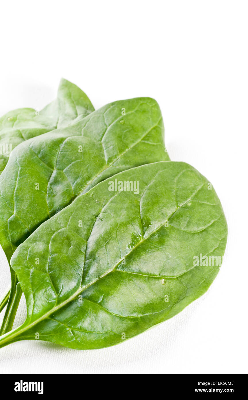 Fresh spinach green leaves isolated over white background Stock Photo ...