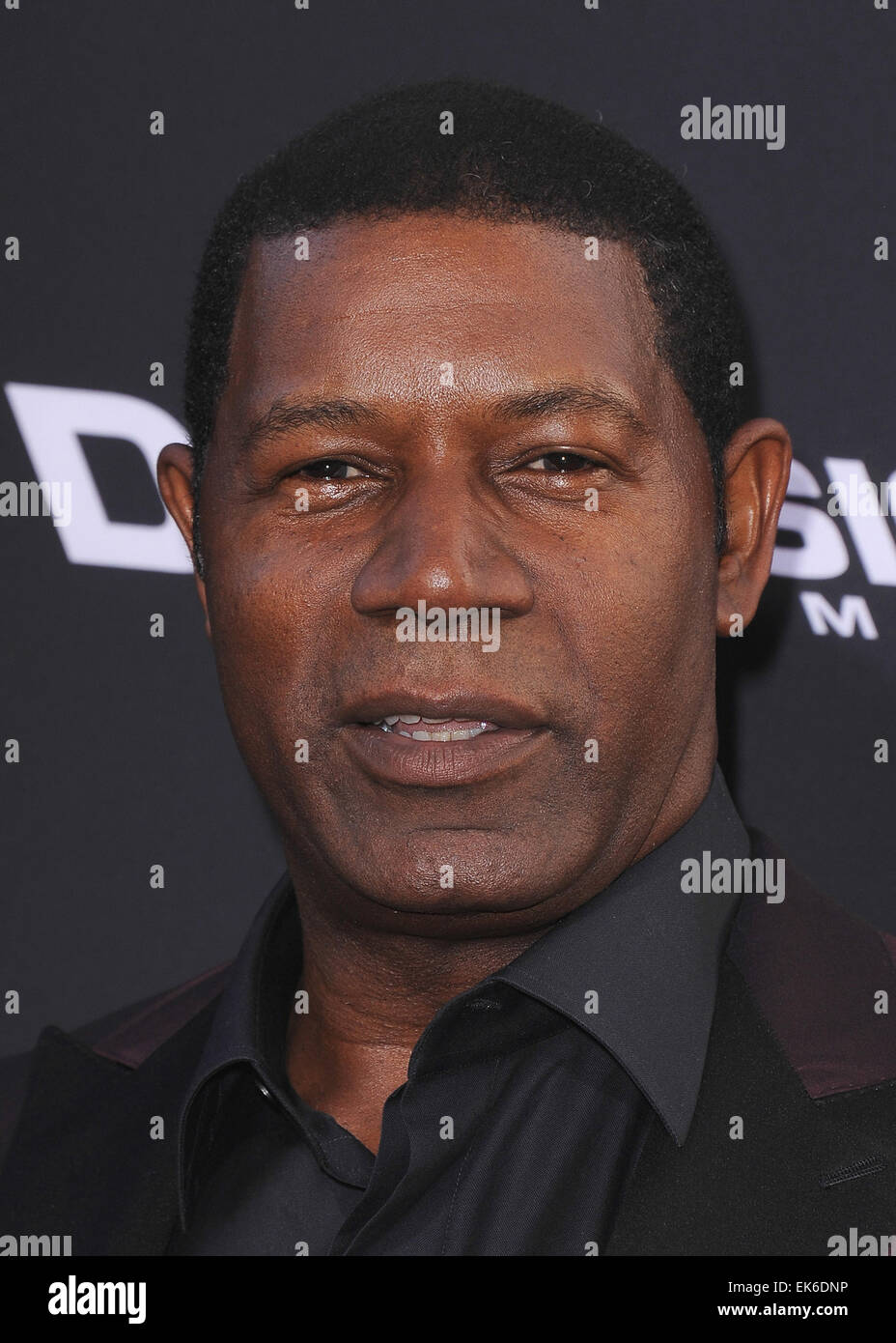 The 'Sin City A Dame To Kill For' Los Angeles Premiere at TCL Chinese Theatre on August 19