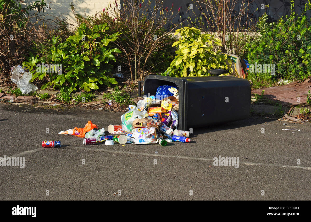 Overturned rubbish bin, Hitchin, Hertfordshire, England, UK Stock Photo