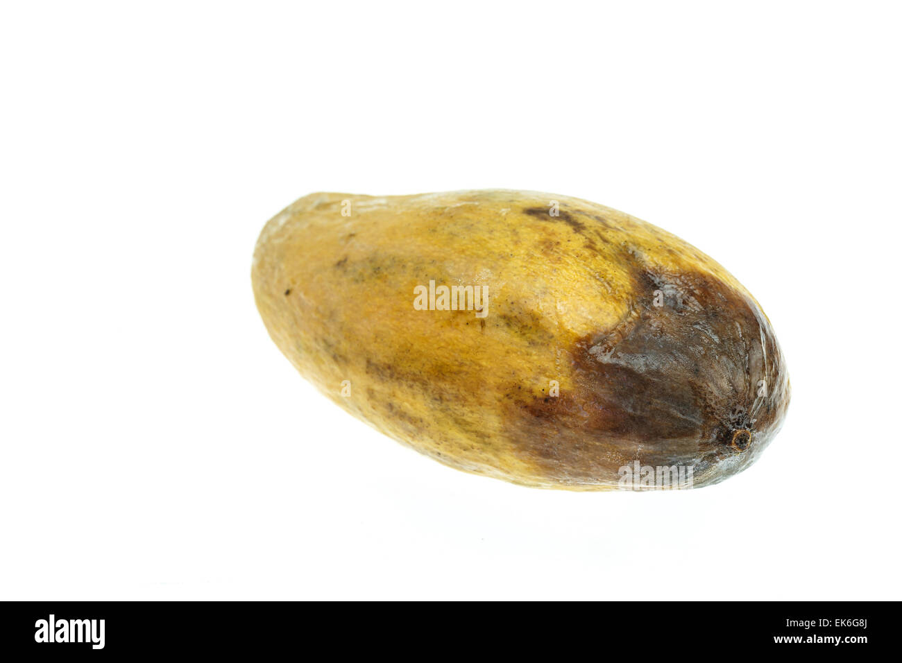 Rotten mango fruit isolated 22207308 PNG