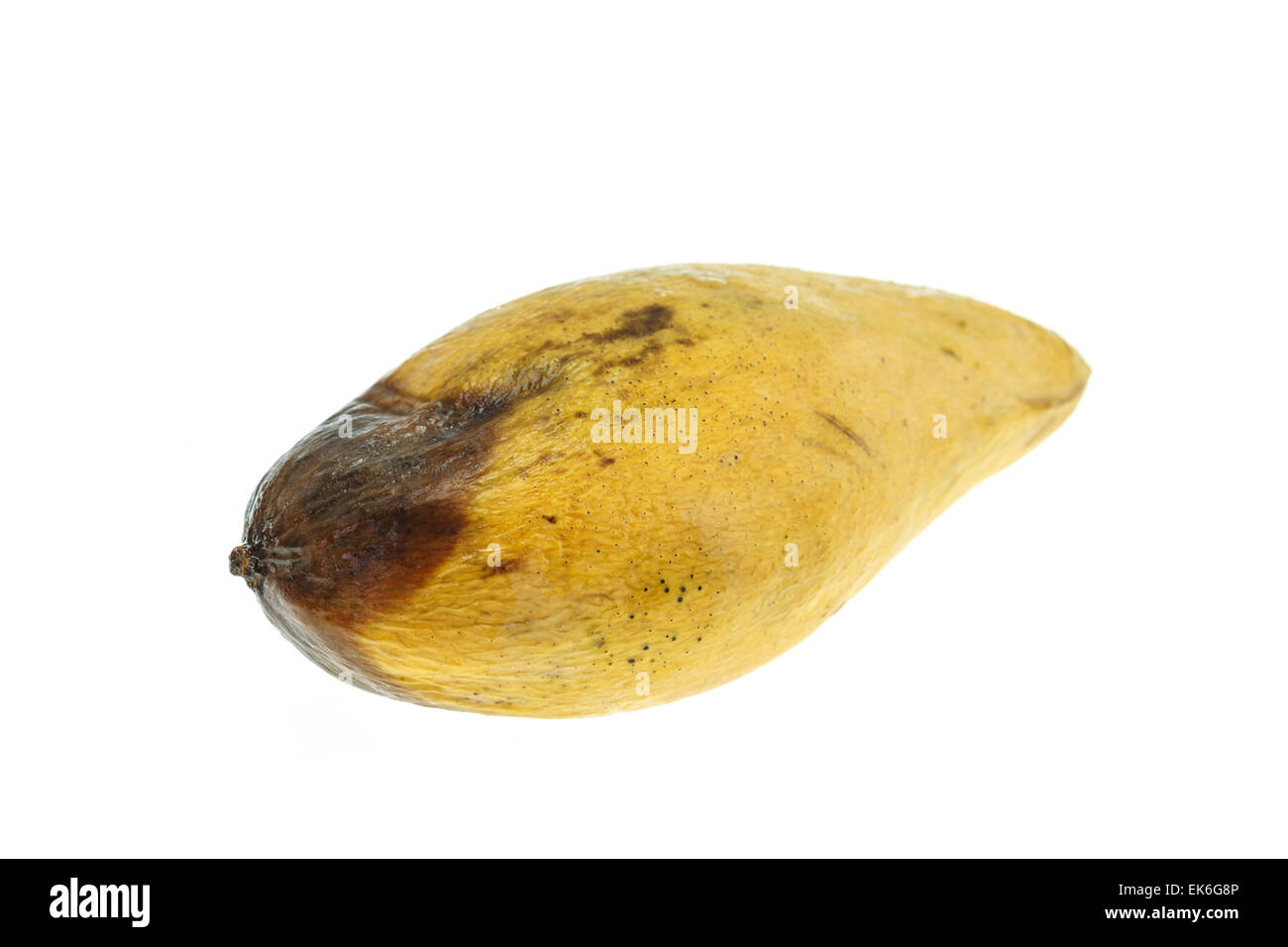 top view rotten mango with worms on a white background Stock Photo - Alamy