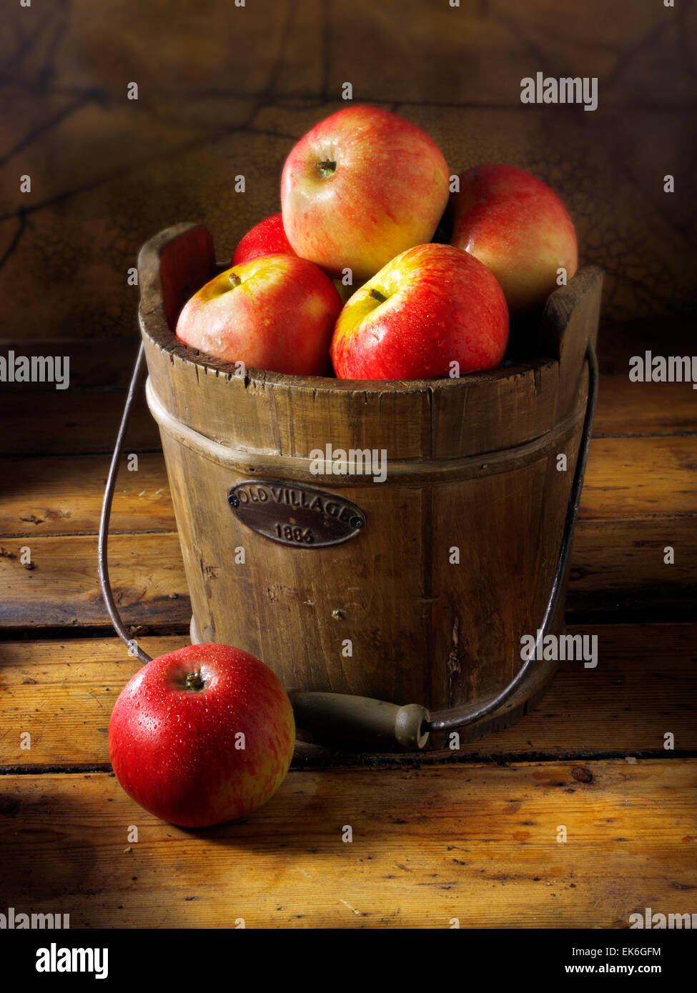 Fresh picked Discovery apples in a rustic wooden bucket Stock Photo
