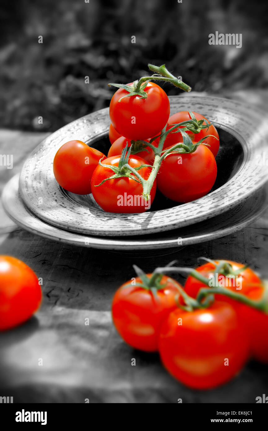 whole picked fresh red tomatoes on vines Stock Photo