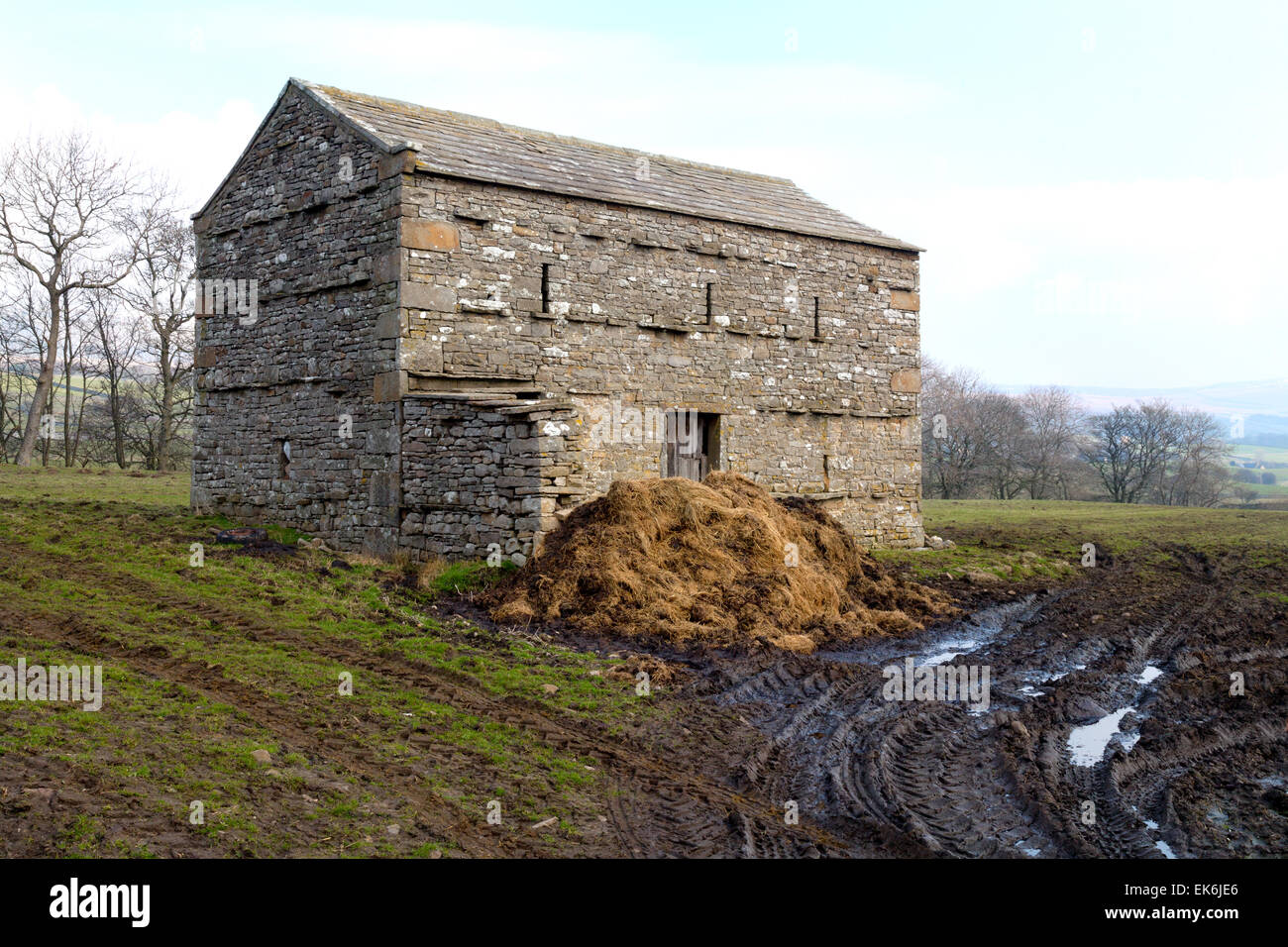 A traditional Yorkshire Dales barn, Wensleydale, North Yorkshire Dales National Park, Yorkshire England UK Stock Photo