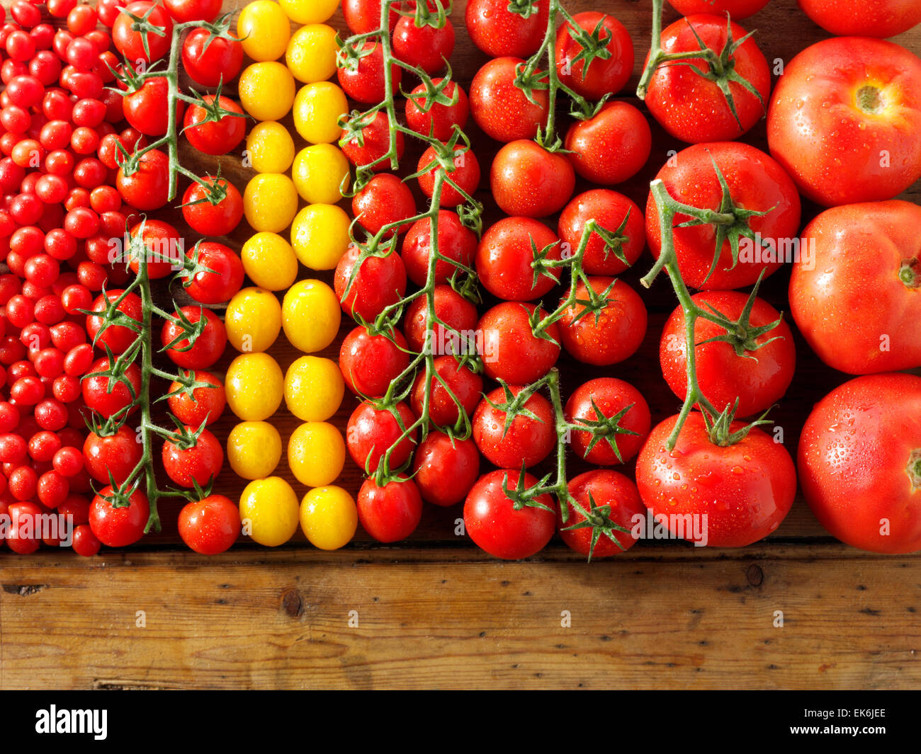 Mixed whole fresh yellow & red tomatoes on vines Stock Photo