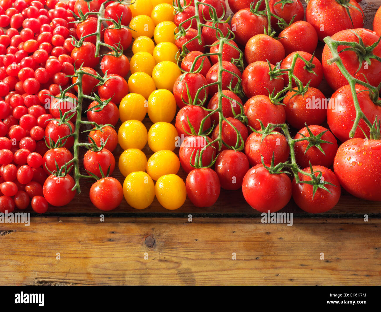 Mixed whole fresh yellow & red tomatoes on vines Stock Photo