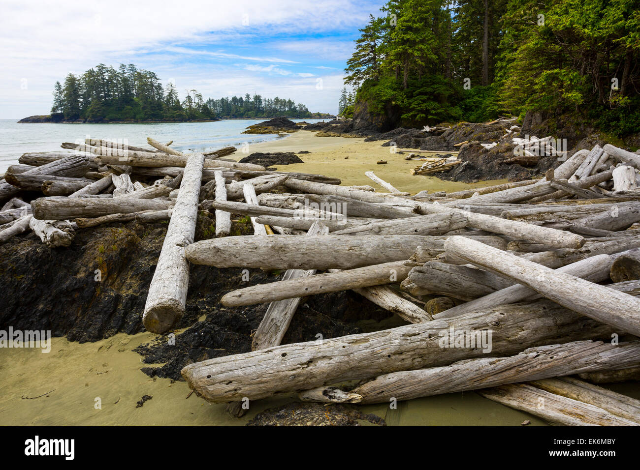 North America, Canada, British Columbia, Vancouver Island, Pacific Rim National Park Reserve, Long Beach Stock Photo