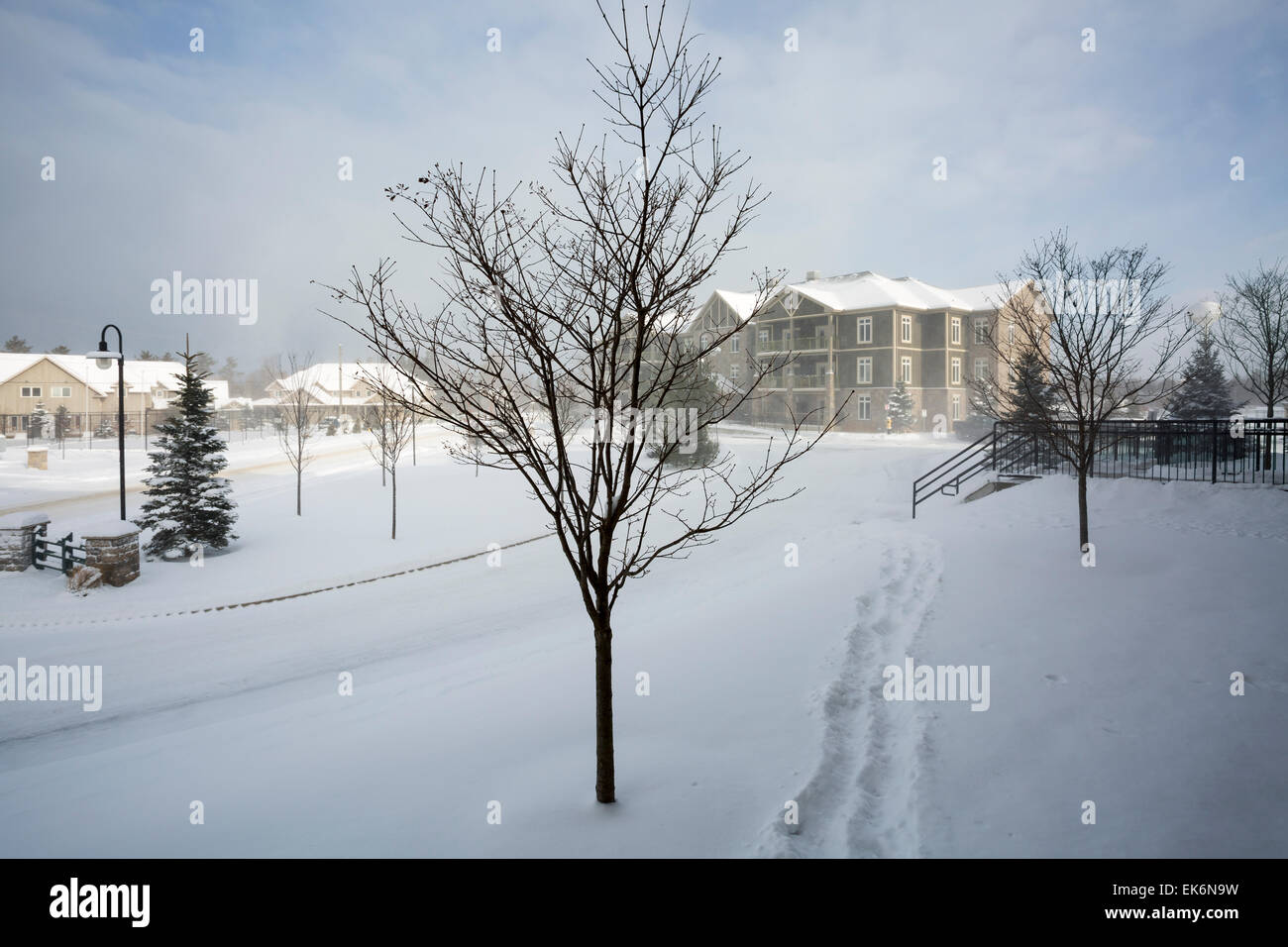 Apartment building in thornbury hires stock photography and images Alamy