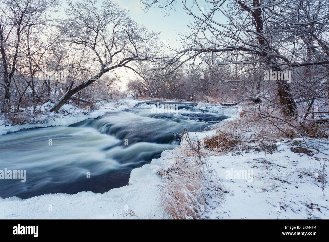 Beautiful winter sunset at the river Krinka. Plants, trees and blue sky. Dusk. Forest in Ukraine Stock Photo