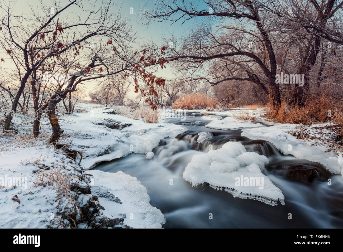 Beautiful winter sunset at the river Krinka. Plants, trees and blue sky. Dusk. Forest in Ukraine Stock Photo