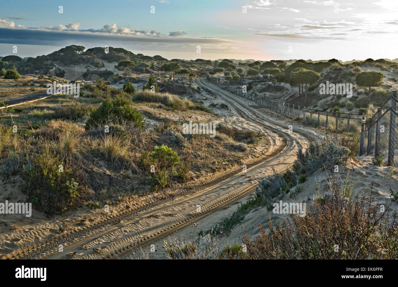 Doñana National Park located in Andalusia covers 543 km². Is an area of marsh, shallow streams, and sand dunes in Las Marismas, Stock Photo