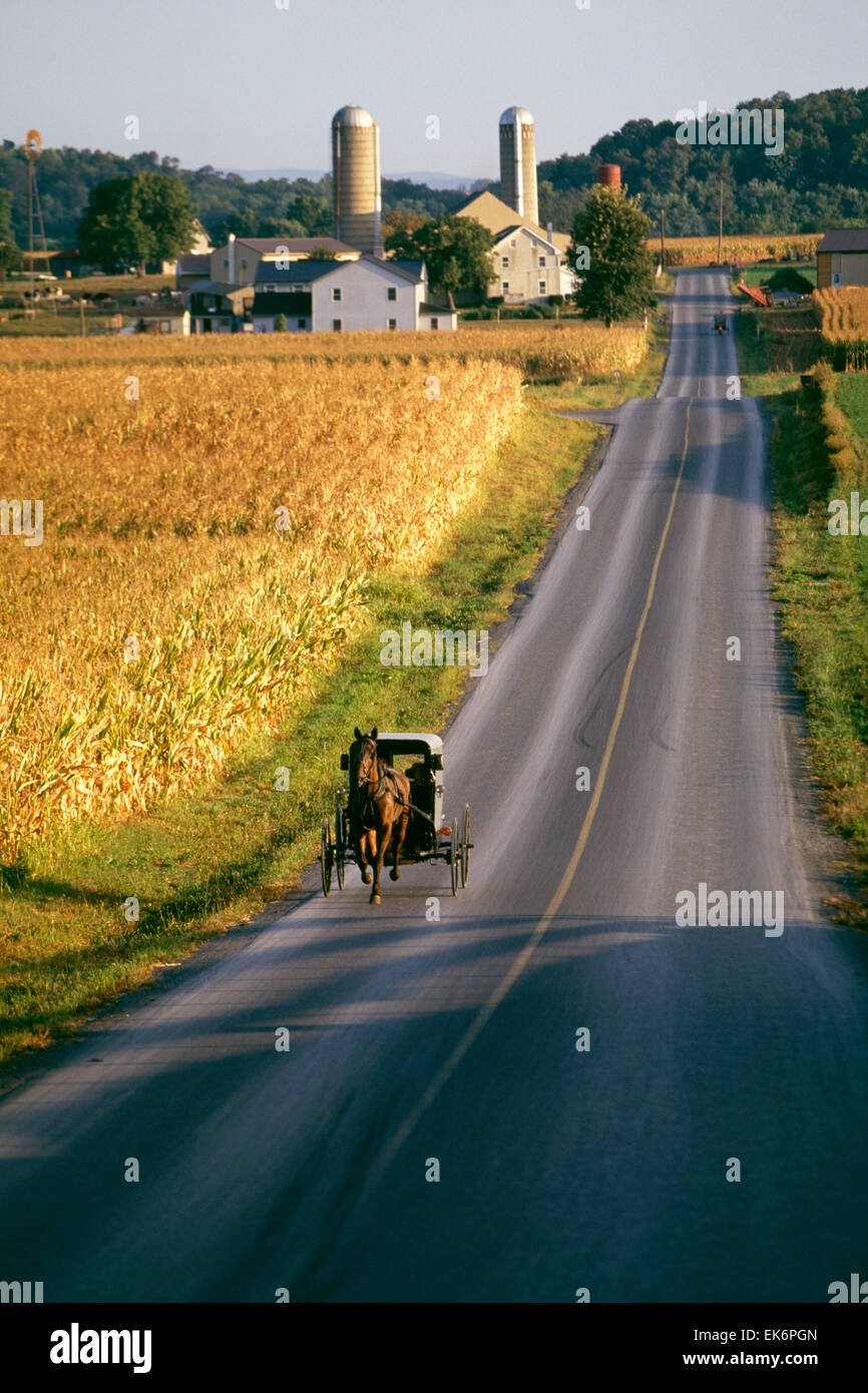 Rural country road with Amish family riding in horse drawn buggy Stock Photo