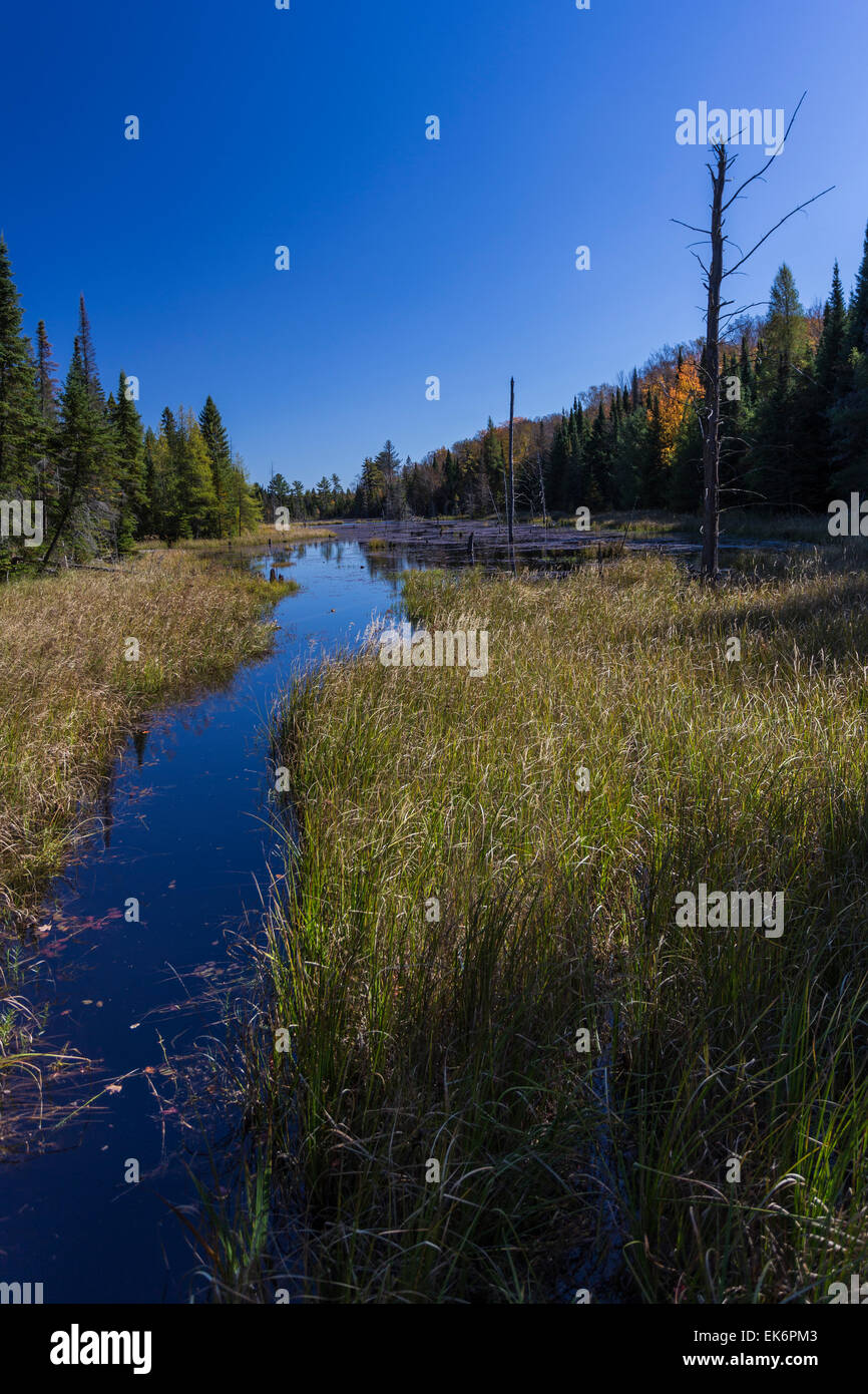 Mikisew Provincial Park, Eagle Lake, South River, Ontario, Canada Stock
